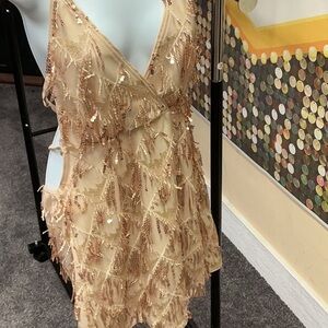 Sequin Fringe Dress